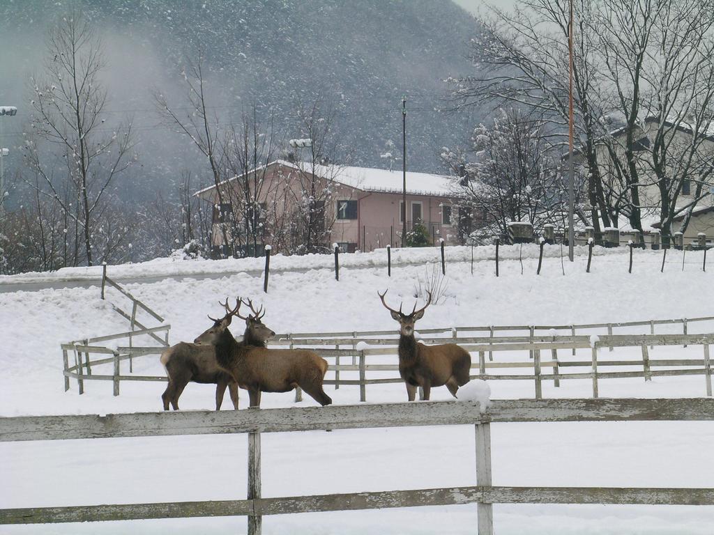 Les Chalets B&B Villetta Barrea Esterno foto
